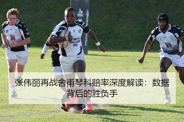 张伟丽再战舍甫琴科赔率深度解读：数据背后的胜负手